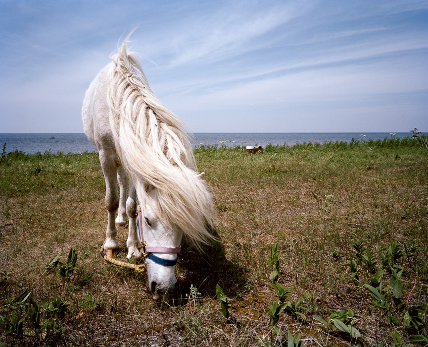 http://www.bertrandcarriere.com/files/gimgs/th-11_26_apres strand.jpg